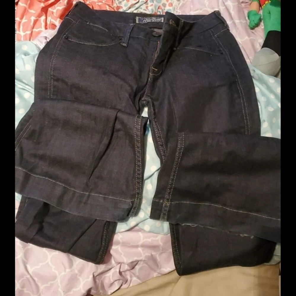 Hudson wide leg flare denim pants